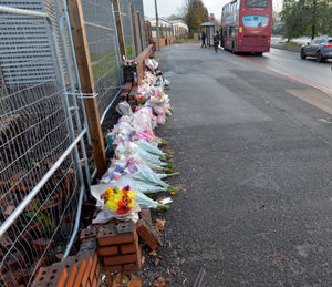 Supporting image for story: Roadside tributes left to girl, 16, and 19-year-old man killed in Oldbury crash