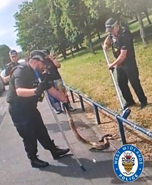 West Midlands Police officer had to deal with a real slippery customer. 