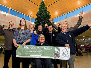 Supporting image for story: Telford Tree of Light appeal hits record target