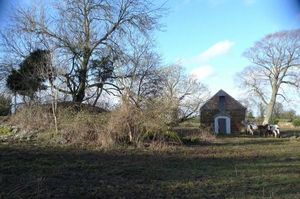 The Grade II-listed cider press on the former site of The Nursery, West Felton. Photo: Richard K Morriss & Associates/Shropshire Council