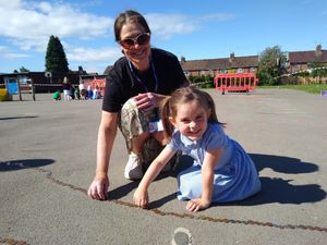Supporting image for story: Snake of pennies sparks memories for school community