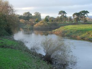 Supporting image for story: Flooding warnings in place across county due to heavy rainfall