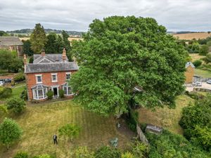 The sycamore tree is named after the nearby Four Shire stone signifying the borders of the four Cotswolds counties: Oxfordshire, Warwickshire, Worcestershire and Gloucestershire.