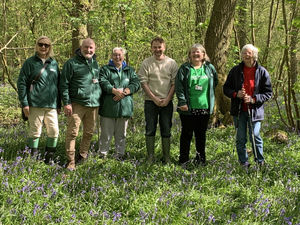 Supporting image for story: Shakespeare wood to open to the public for charity event