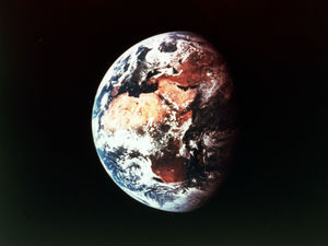 Supporting image for story: LETTER: Fight harder to protect our planet