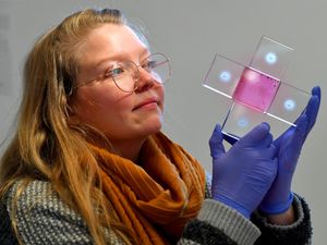 Supporting image for story: Stourbridge Glass Museum gifted pink puzzle artwork in memory of renowned engraver