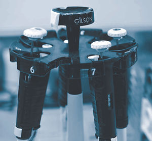 The team grows cancer cells in flasks and dishes in the lab