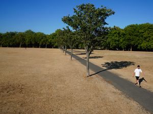 Supporting image for story: UK path to net zero ‘at risk unless Government prioritises public engagement’