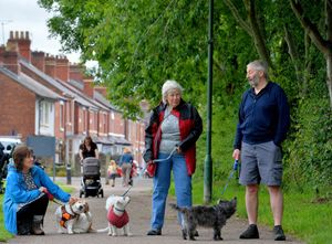 Supporting image for story: Shrewsbury Greenfields park row: How a fake 'fact' was used to justify a wrong decision