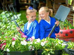 Supporting image for story: Teamwork leads to Market Drayton school's veggie success