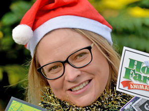 Supporting image for story: The Beacon Centre launches online Christmas raffle