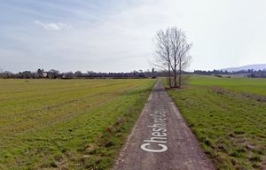 Please note. Google Maps only records a small section of Cheshire Coppice Lane. This is some way from the proposed site.