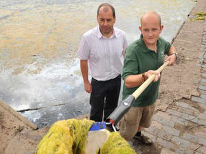 Supporting image for story: Sailing suspended as weeds blanket pool