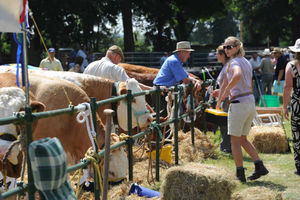 Taking a look around at the Newport Show