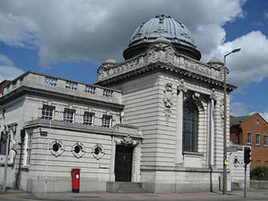 Supporting image for story: Greyhound owner gets life pet ban