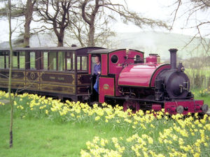 Supporting image for story: Model railway exhibition cancelled but it's full steam ahead for the Corris Railway