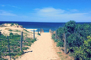Cronulla beach is Kim's local beach