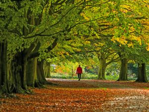 Supporting image for story: Living near green space ‘associated with higher chances of quitting smoking’