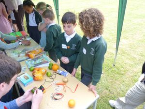 Budding scientists