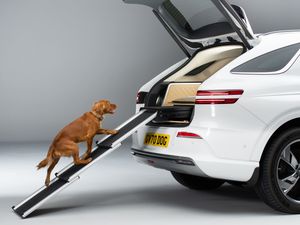 Supporting image for story: The Genesis X Dog Concept aims to make four-legged travel more luxurious