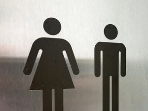 Supporting image for story: Single-sex toilets to be required in new restaurants and offices