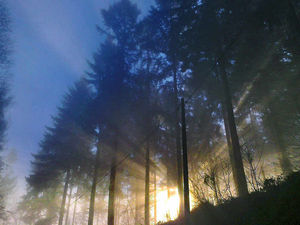 Supporting image for story: Misty days bringing dirty air warnings