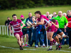 Supporting image for story: Vital Newport victory takes them clear of the drop zone