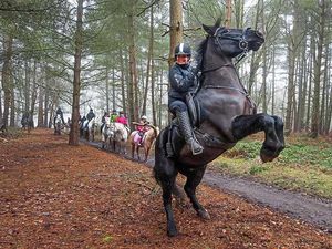 Supporting image for story: Pony trekking centre revamp gallops ahead as expansion promises new jobs