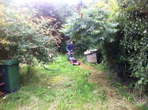 Keeping the secret garden at its magical best in Telford.