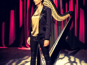Supporting image for story: Some of the country’s finest harpists will lead a Powys summer school and play in concert