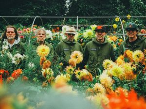 Supporting image for story: Welsh rock band Super Furry Animals to reform for tour next year