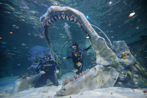 The shark tank at the Bear Grylls Adventure in Birmingham. Pictures by: Ben Queenborough