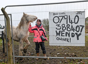 Supporting image for story: Horse rescue operator in bitter Wolverhampton land dispute told to leave site today