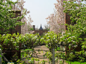 Combermere Abbey gardens