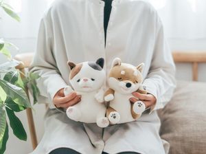 Supporting image for story: Japanese sweets, snacks and gifts all the rage at NEC Comic Con pop-up this weekend