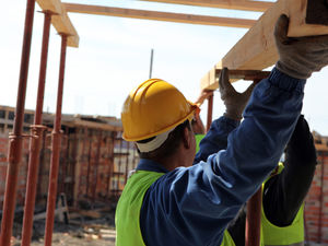 Supporting image for story: Rural housing can contribute to helping the economy of the countryside