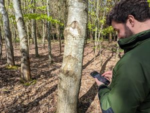 Supporting image for story: New high-tech app to streamline woodland surveys for landowners