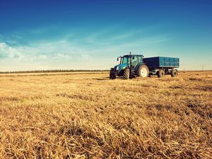 Supporting image for story: Shropshire farms set to welcome guests to understand more about rural life 
