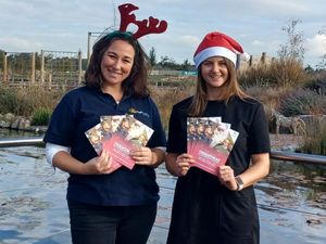 Supporting image for story: Santa dash for local charity