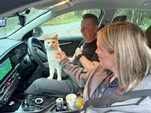 Supporting image for story: Owners’ joy as cat missing from Scottish home found 300 miles away in the West Midlands