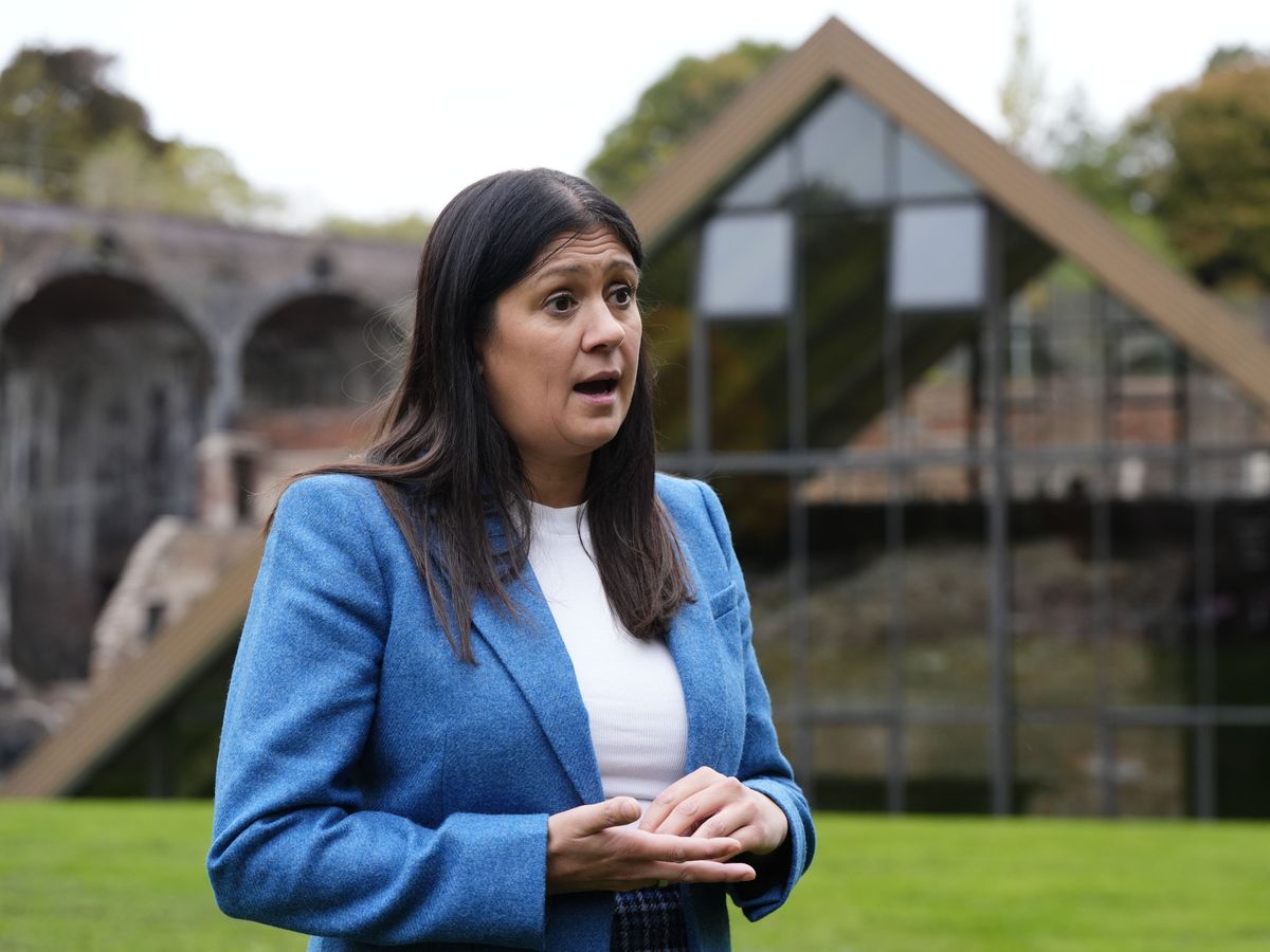 Lisa Nandy defends David Lammy over prison release errors and scrutiny claims Lisa Nandy defends David Lammy over prison release errors and scrutiny claims