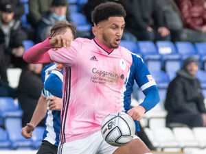 Supporting image for story: Dom McHale departs AFC Telford United after fitness issues