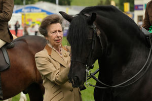 The horse whisperer - Princess Anne gets up close to one of the animals in the ring. Image by Andy Compton