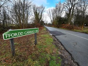Supporting image for story: Four in hospital and woman arrested after car hits tree in Oswestry