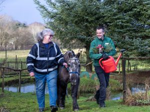 Supporting image for story: Community groups urged to apply for gardening expert help