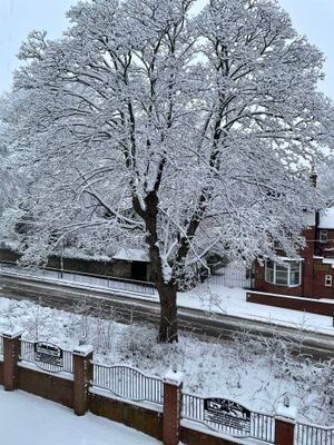 Darren Ford took this Christmas card-style photo of a frosty tree outside his home on Goldthorn Hill, Wolverhampton