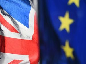 Supporting image for story: LETTER: EU is better than the alternative