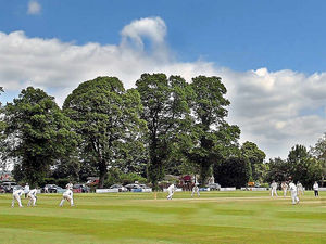 Supporting image for story: Chance for Shropshire cricketers to give views on the sport