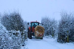 A farmer out feeding the cattle in north Shropshire. Photo: Nicola Marsh