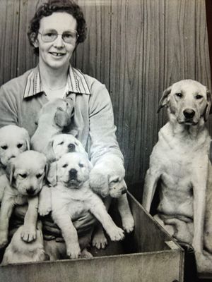 A historic photo of Sandra Boden with a guide dog mum and a litter of guide dog puppies. Picture: Guide Dogs